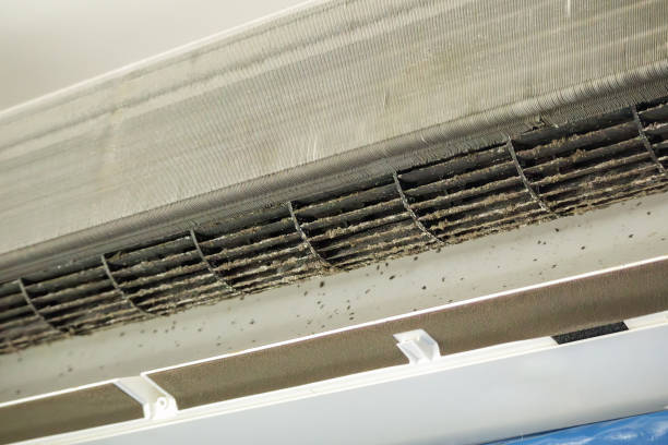 Best Local Air Duct Cleaning Services  in Wilton, CA