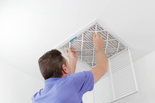 Best Dryer Vent Cleaning Services  in Wilton, CA